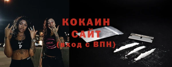 амф Каменка