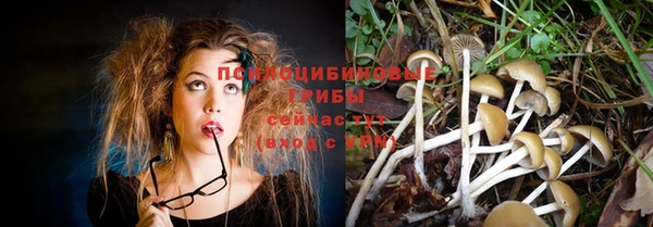 меф Карпинск