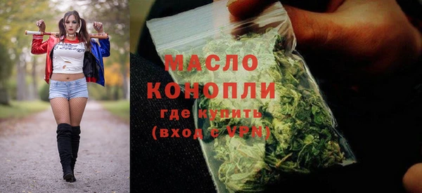 амф Каменка