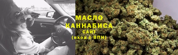 амф Каменка