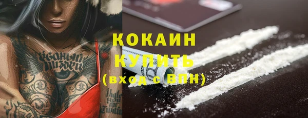амф Каменка