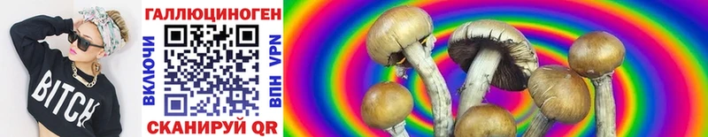 Купить где Нурлат Галлюциногенные грибы Psilocybe